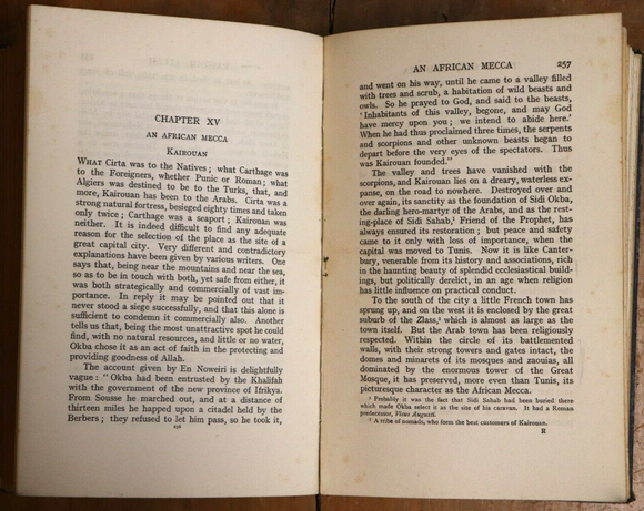 c1900 African Shores Of The Mediterranean Twixt Sand & Sea Antique Book