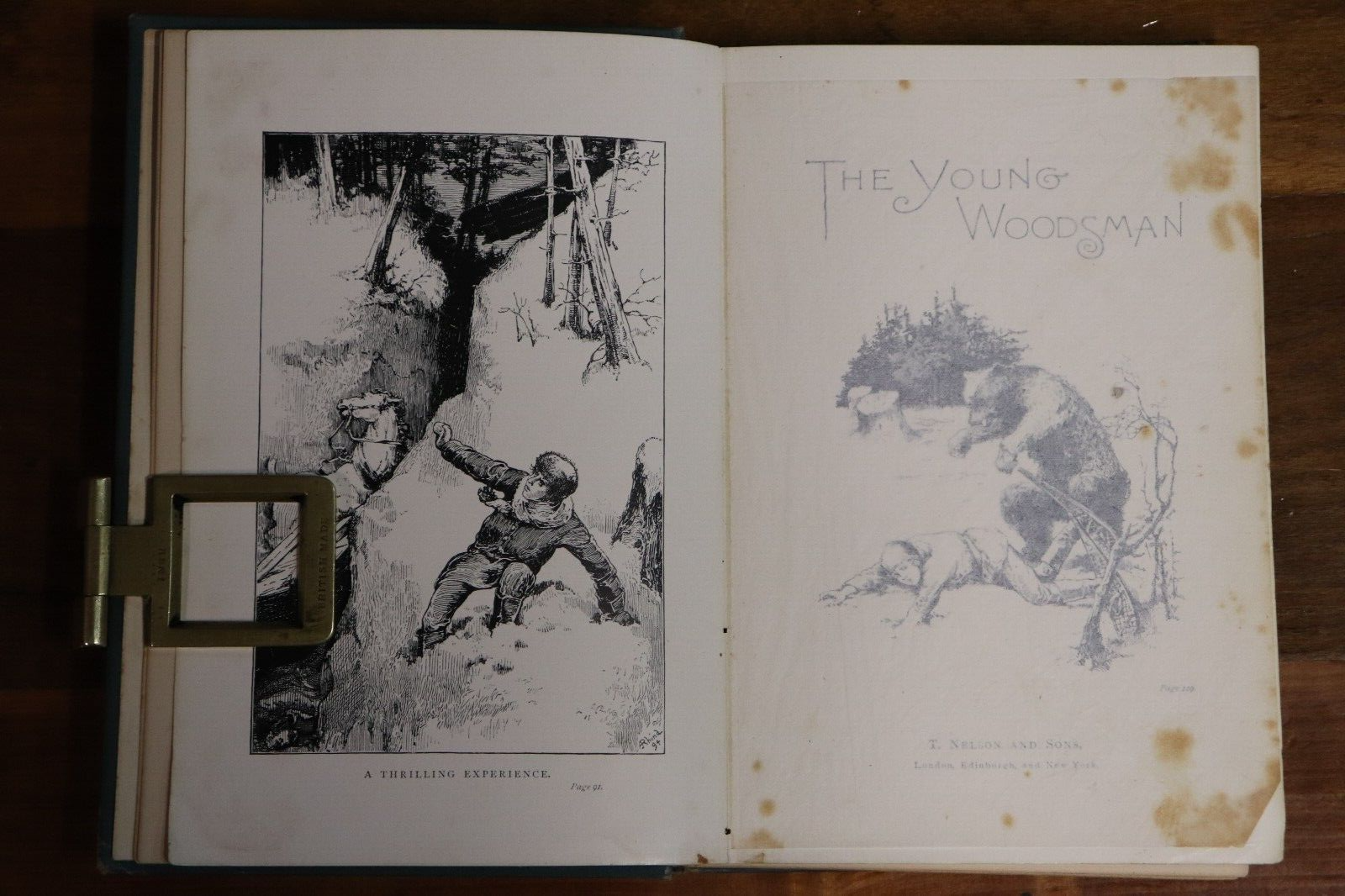 1897 The Young Woodsman by J. MacDonald Oxley Antique Fiction Book