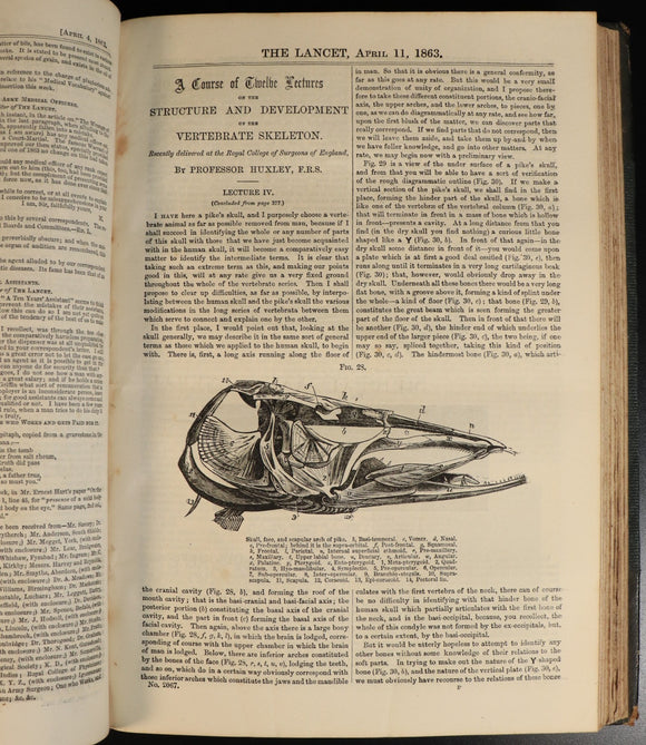 01b24e63-c103-42b9-9ed5-467ae81940b2