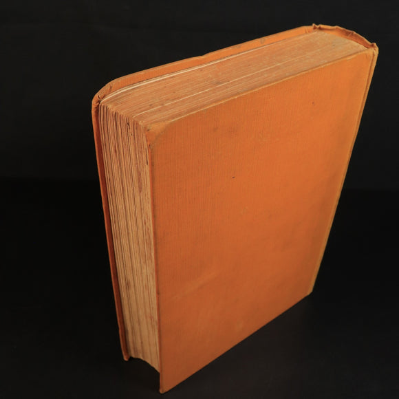 01f555bd-e67e-49c3-bfdf-8cef6756ea69