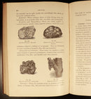 1901 Manual Of Determinative Mineralogy by George J Brush Antique Reference Book-11