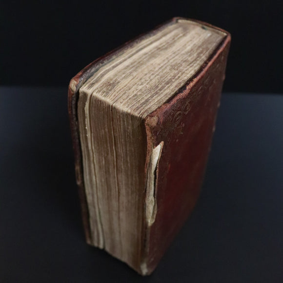 03b35a65-0378-4b5d-8f59-70dafb94ddf7