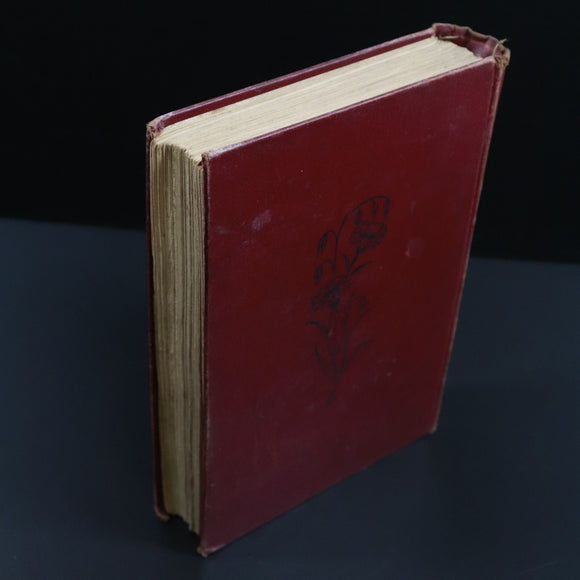 04a60ec1-c25b-4ead-bb9d-1c89fd1ead22