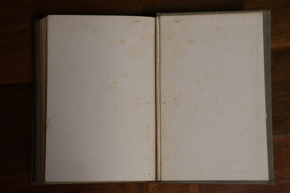 1905 The Deluge by David Graham Phillips Antique American Fiction Book