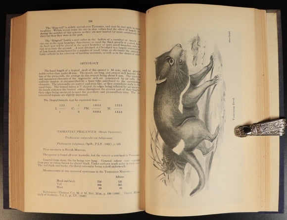 061d0b14-a2e7-4380-b1a4-082b2ab6c405