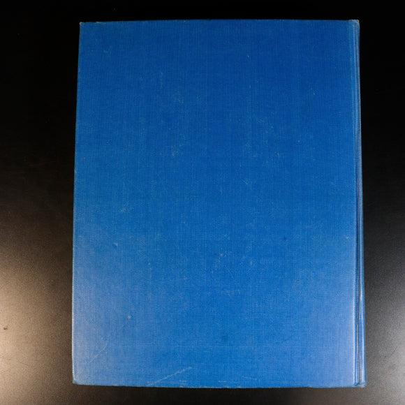 069411d6-ab6f-41a9-8d48-ca162239eb81