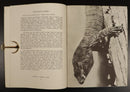 1938 Wild Nature In Australia by Charles Barrett 1st Ed. Natural History Book-5