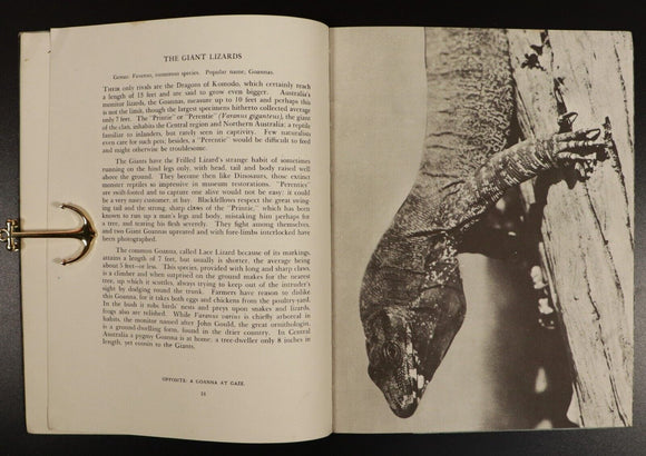 1938 Wild Nature In Australia by Charles Barrett 1st Ed. Natural History Book