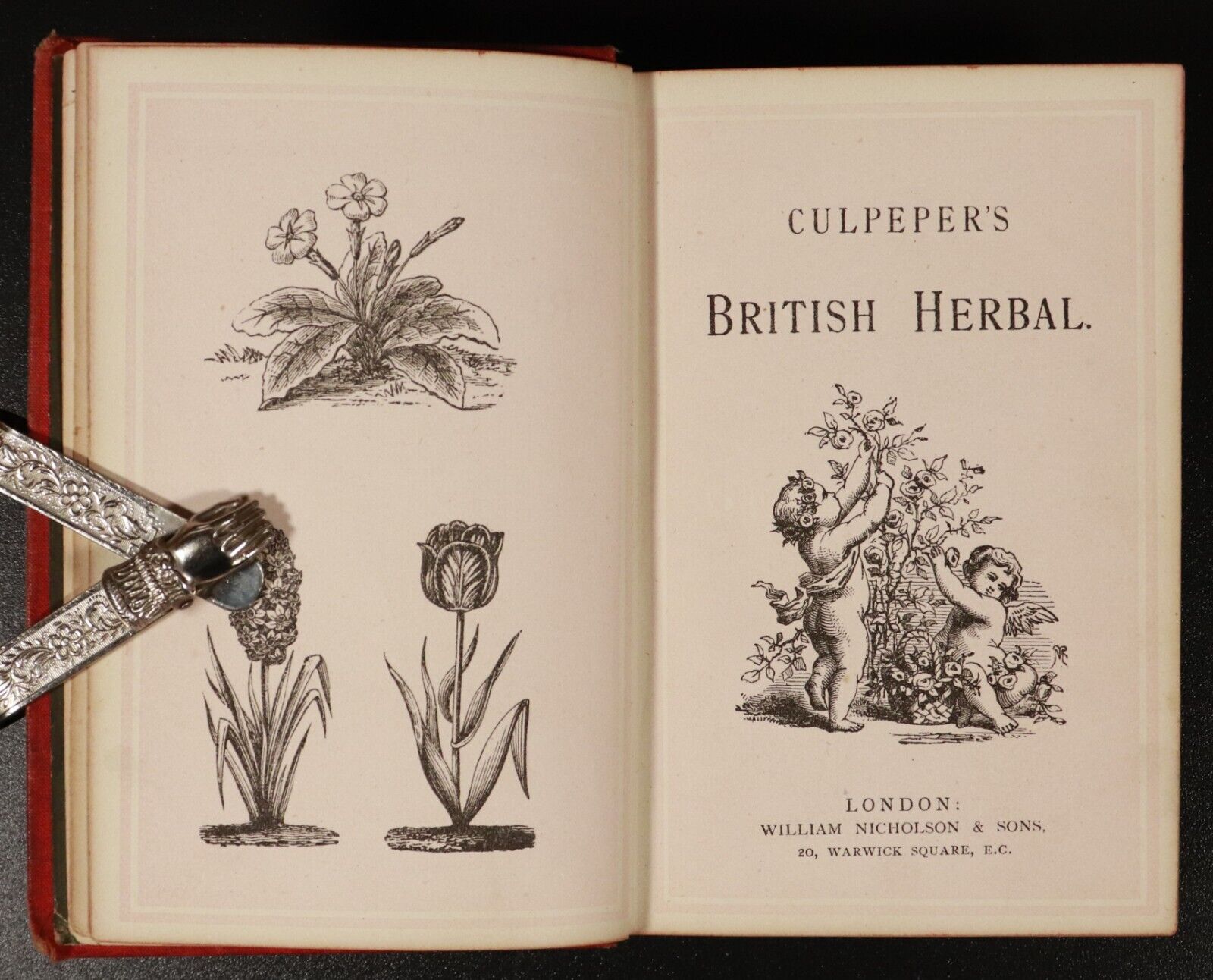 c1875 The British Herbal & Family Physician by N. Culpeper Antique Medical Book - 0