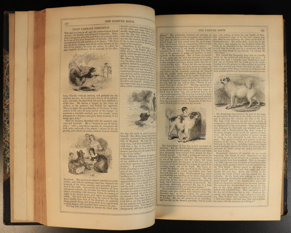 07dd4264-6416-4d59-bf48-d062d111f477