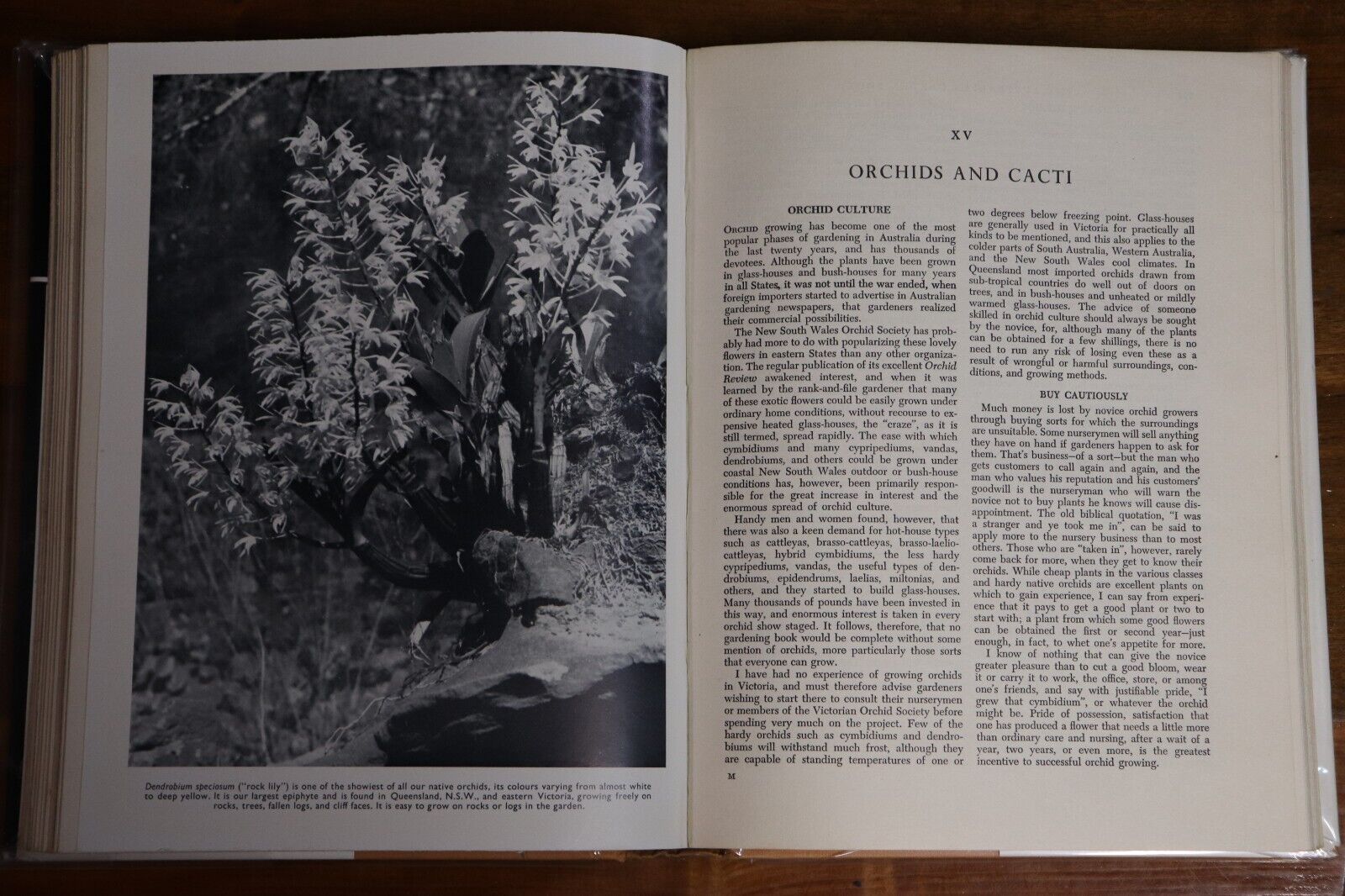 1958 The Australian Garden Book by RG Edwards Gardening Reference Book