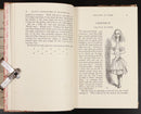 1954 Alice's Adventures In Wonderland L. Carroll Antique Fiction Book J. Tenniel-6