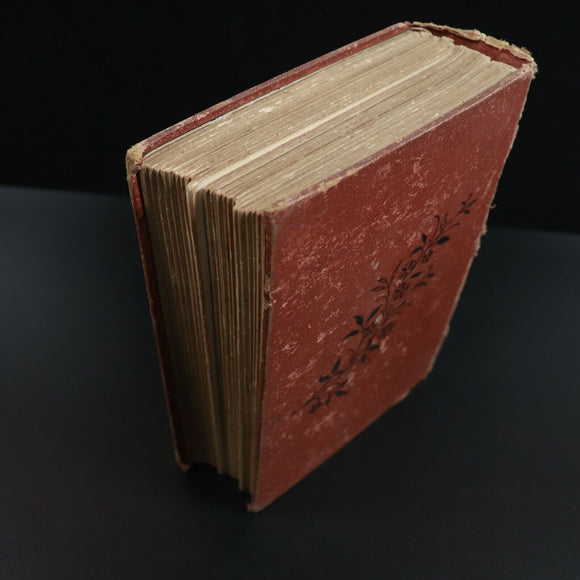 1886 Under Bayard's Banner by Henry Frith Antique Illustrated Irish Fiction Book