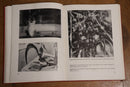1944 Art In Progress - Museum Of Modern Art New York Vintage American Art Book-6