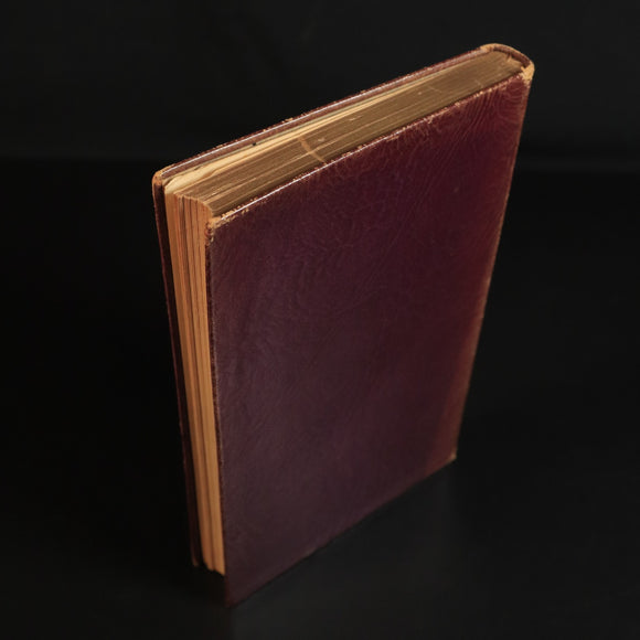 09287274-6cb2-49ae-ad88-9aa29efe2378