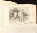 1893 Modern Dogs Of Great Britain & Ireland Antique Sporting Dog Reference Book-14