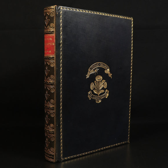 098e28b9-a09a-4be3-b252-2cb2b61cf981