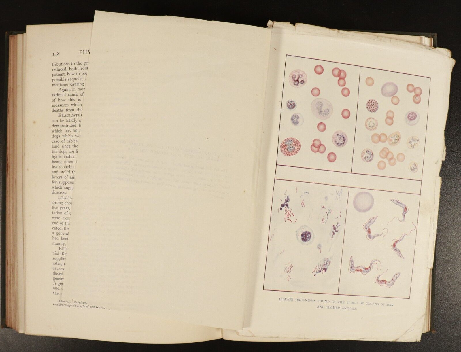 1909 6vol Science In Modern Life by J.R. Ainsworth Davis Antique Book Set