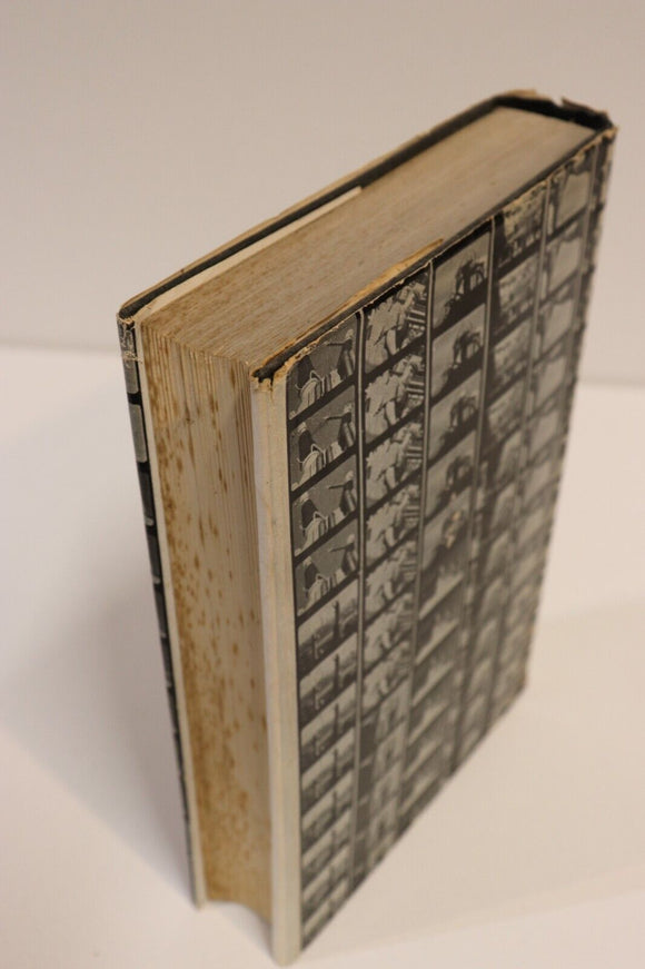 0c00af7b-7670-4d3d-9c74-67c5c1ce7275