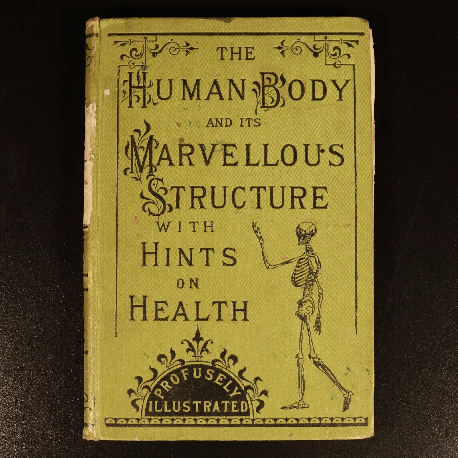 c1893 Human Body & Marvellous Structure Antique Medical & Health History Book