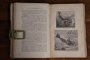 1870 The Book Of Nature & Of Man by C Napier Antique Science & Nature Book-6