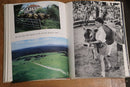 1964 New Zealand: Gift Of The Sea by B. Brake Vintage Photo History Book-7