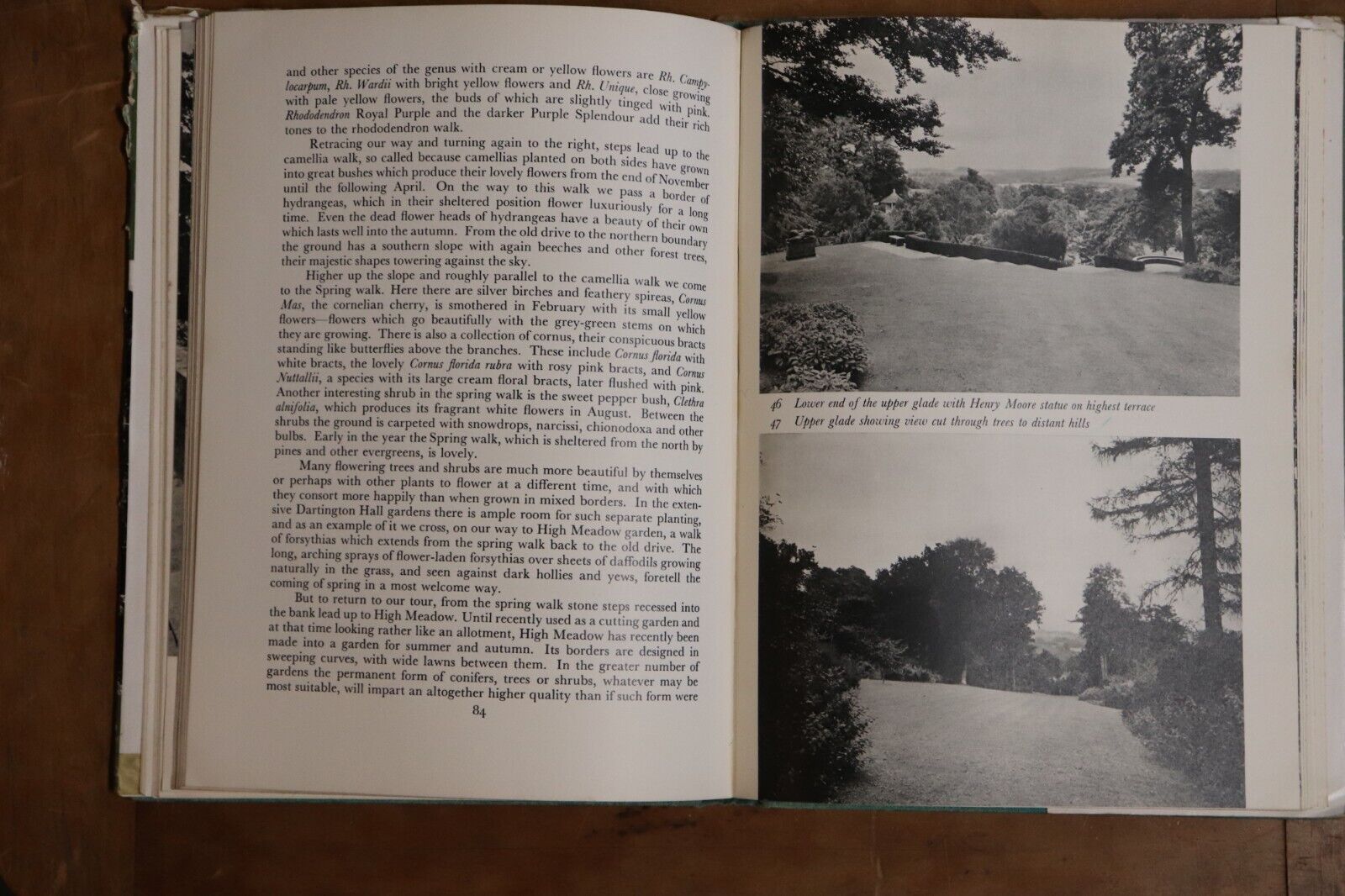 1956 The Earth Is My Canvas by Percy Cane Architectural Garden Design Book