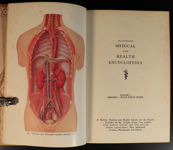 0eac5753-5612-41b8-969e-02b98a738223