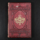 1880 Glimpses Of Nature Science & Art For The Young Antique Natural History Book-10