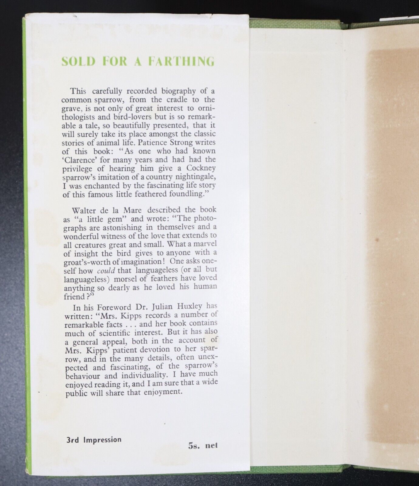 1953 Sold For A Farthing by Clare Kipps - Bird Reference Book Sparrow Fledgling - 0
