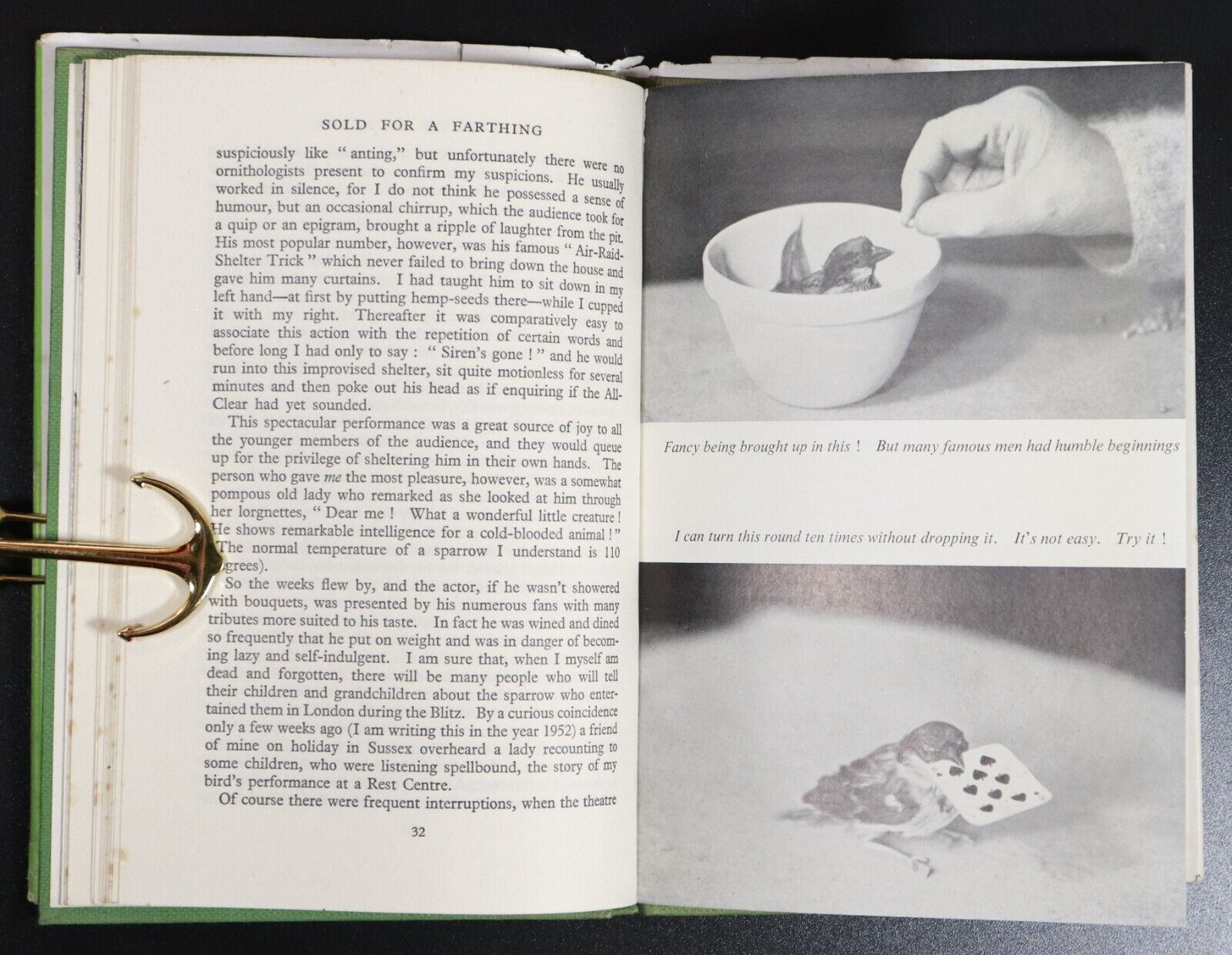 1953 Sold For A Farthing by Clare Kipps - Bird Reference Book Sparrow Fledgling