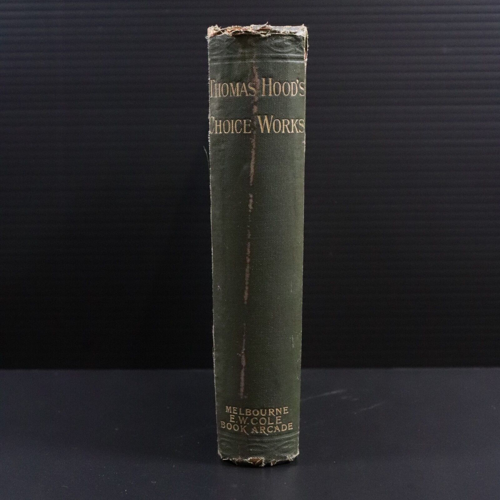 c1895 The Choice Works Of Thomas Hood Antique British Prose & Verse Book