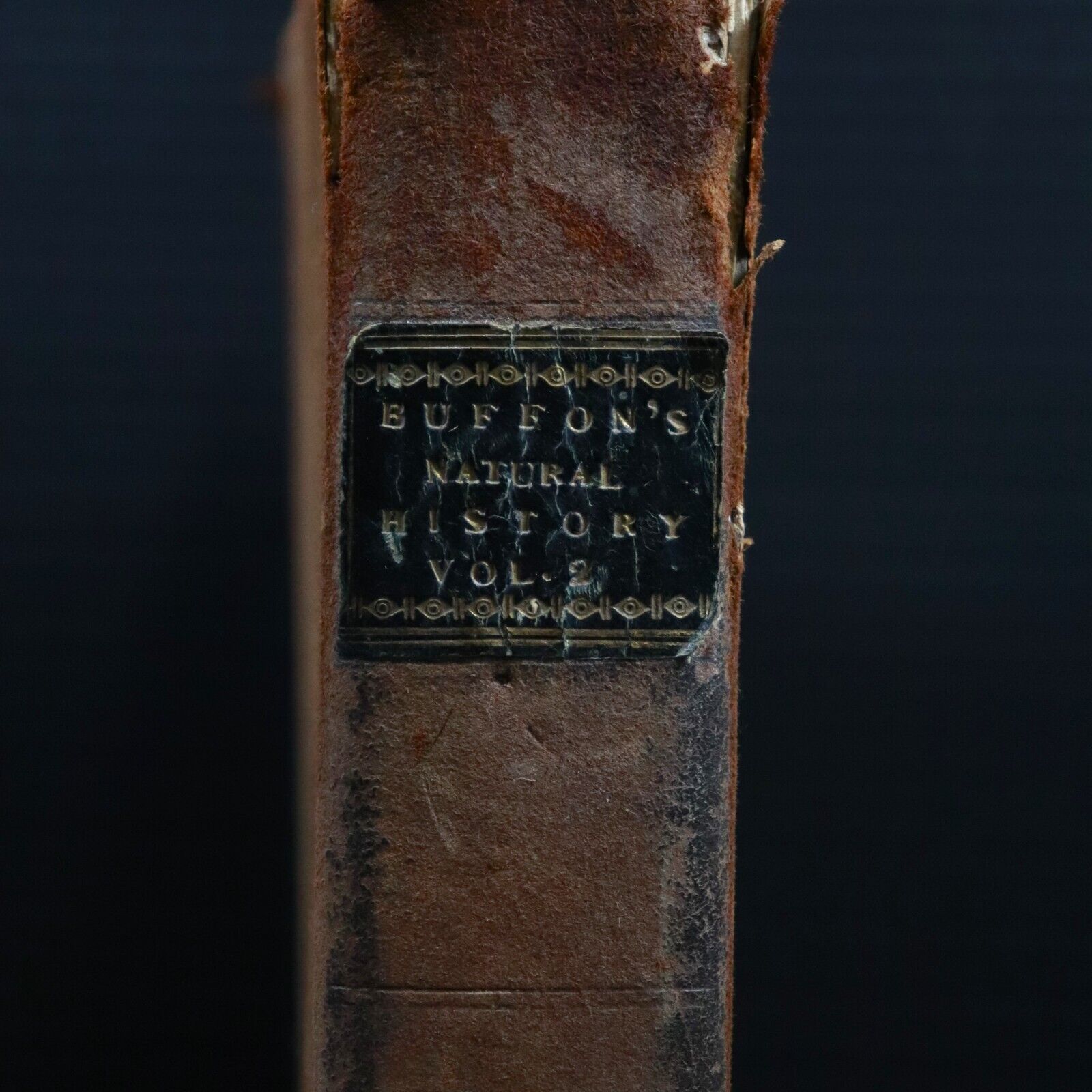 c1810 Buffon's Natural History + British Herbal Antiquarian Natural History Book