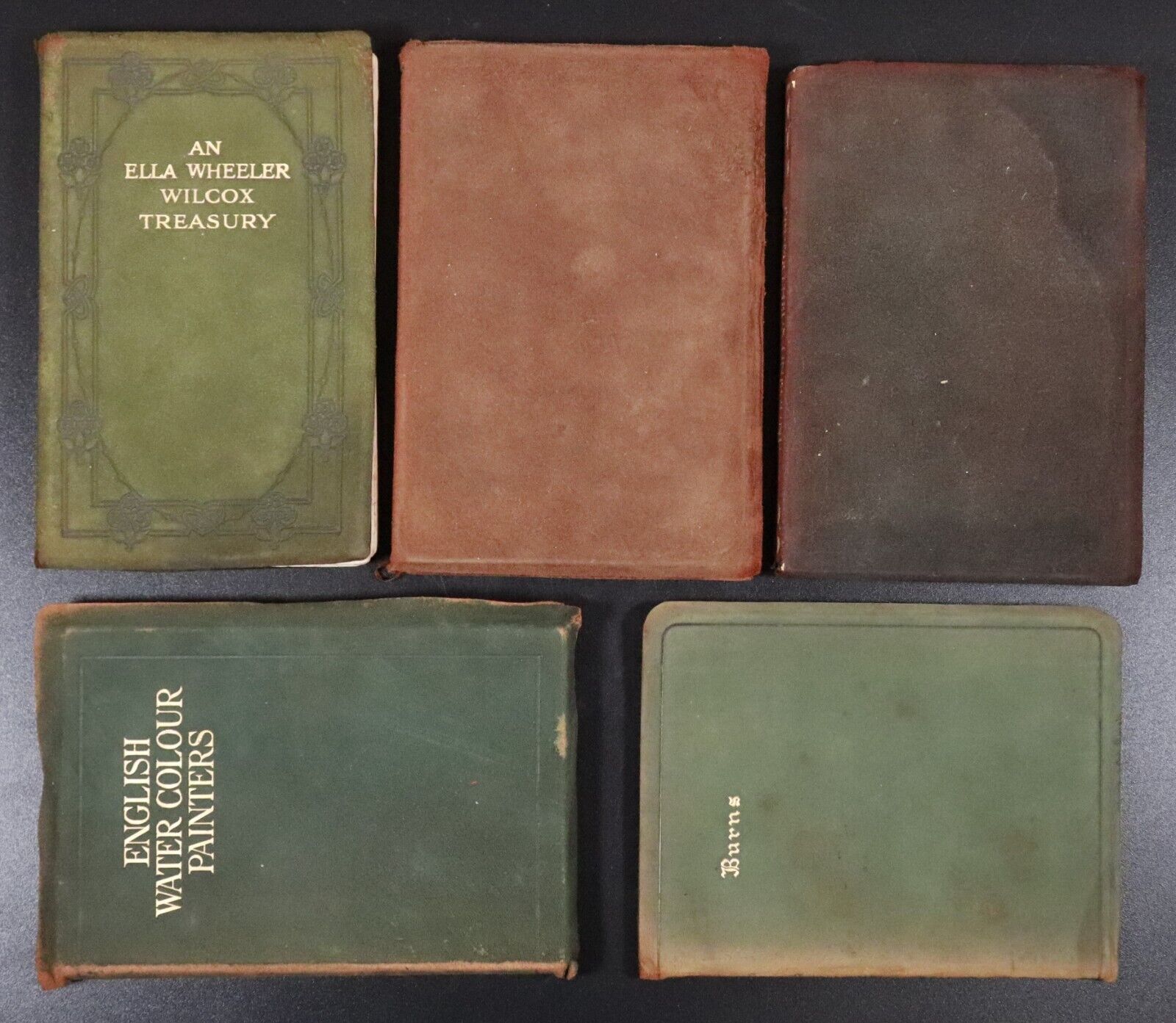 c1905 5vol Suede Classic Literature Book Collection - Shelley Burns Wilcox etc