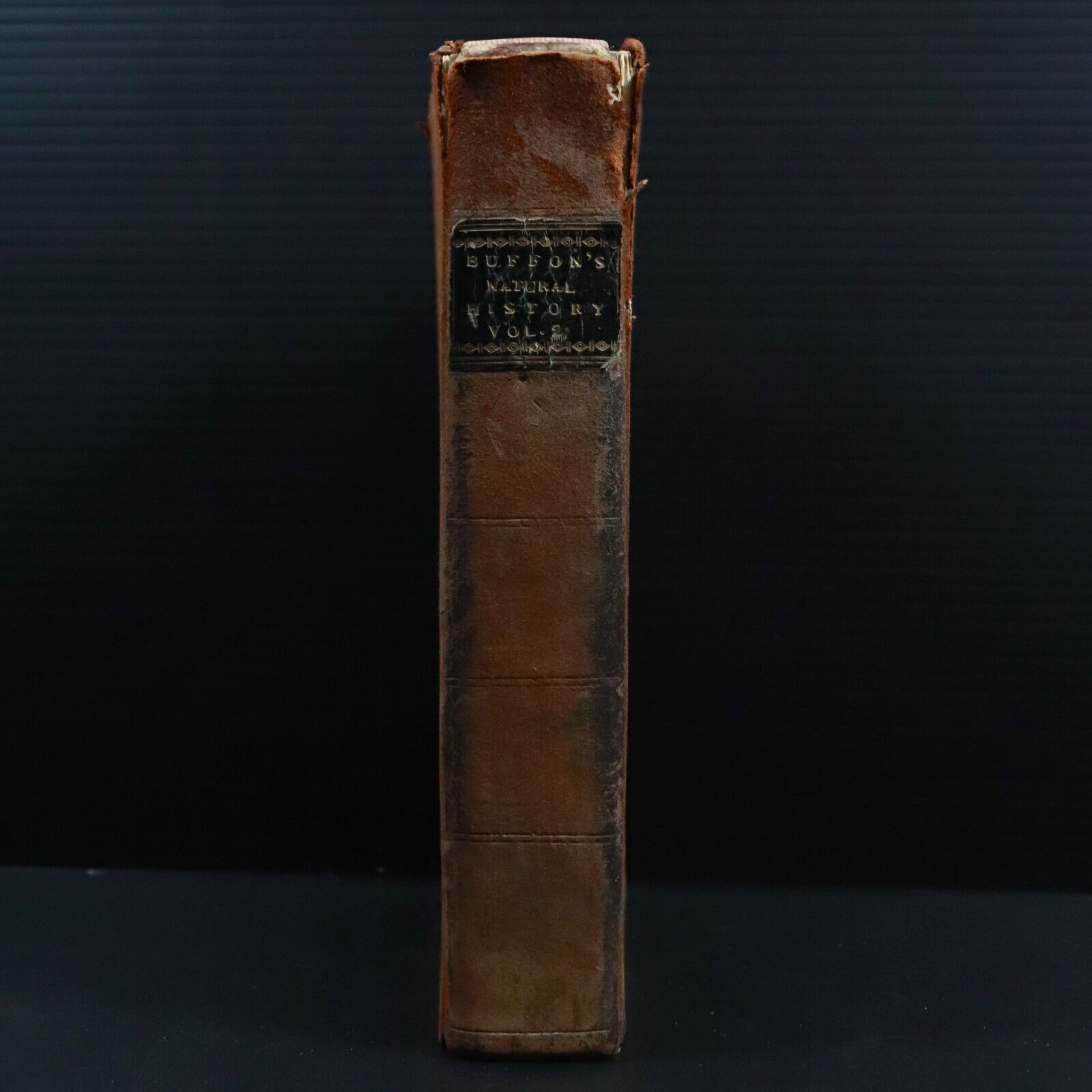 c1810 Buffon's Natural History + British Herbal Antiquarian Natural History Book - 0