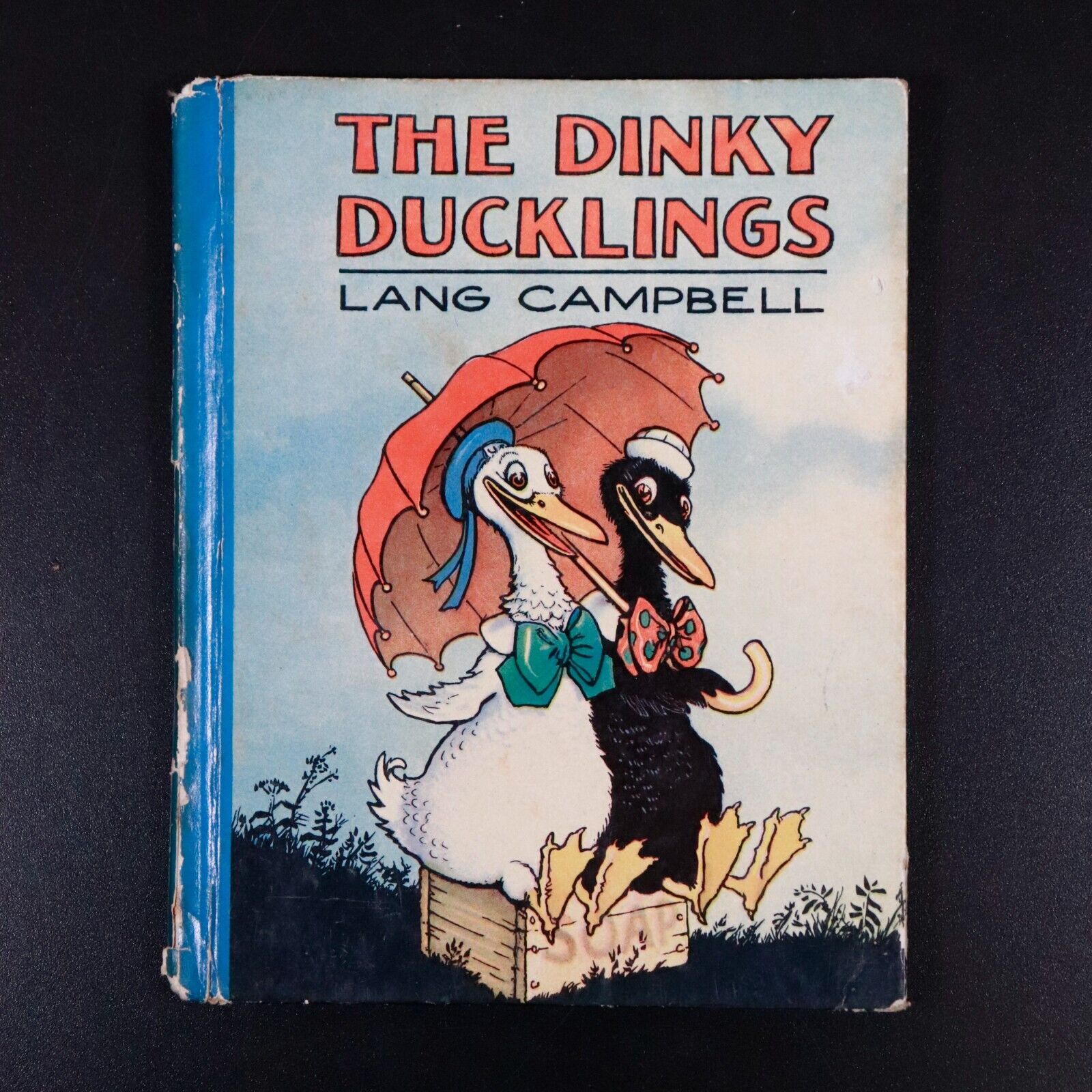 1928 The Dinky Ducklings by Lang Campbell Antique Childrens Book Illustrated