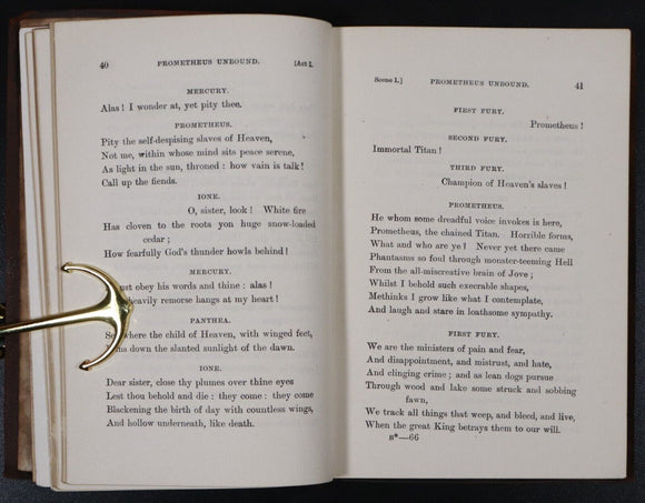 c1905 5vol Suede Classic Literature Poetry Book Collection Shelley Burns Wilcox
