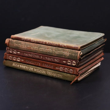 c1905 5vol Suede Classic Literature Poetry Book Collection Shelley Burns Wilcox