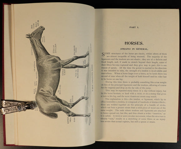 11cdcf61-350d-4e17-a186-eb454cba3756