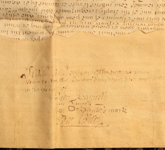 1711 Indenture Conveyance English Legal Document Manuscript Vellum Lease June