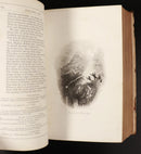 12ed972e-11f0-4e5f-8751-ae265fe756f6