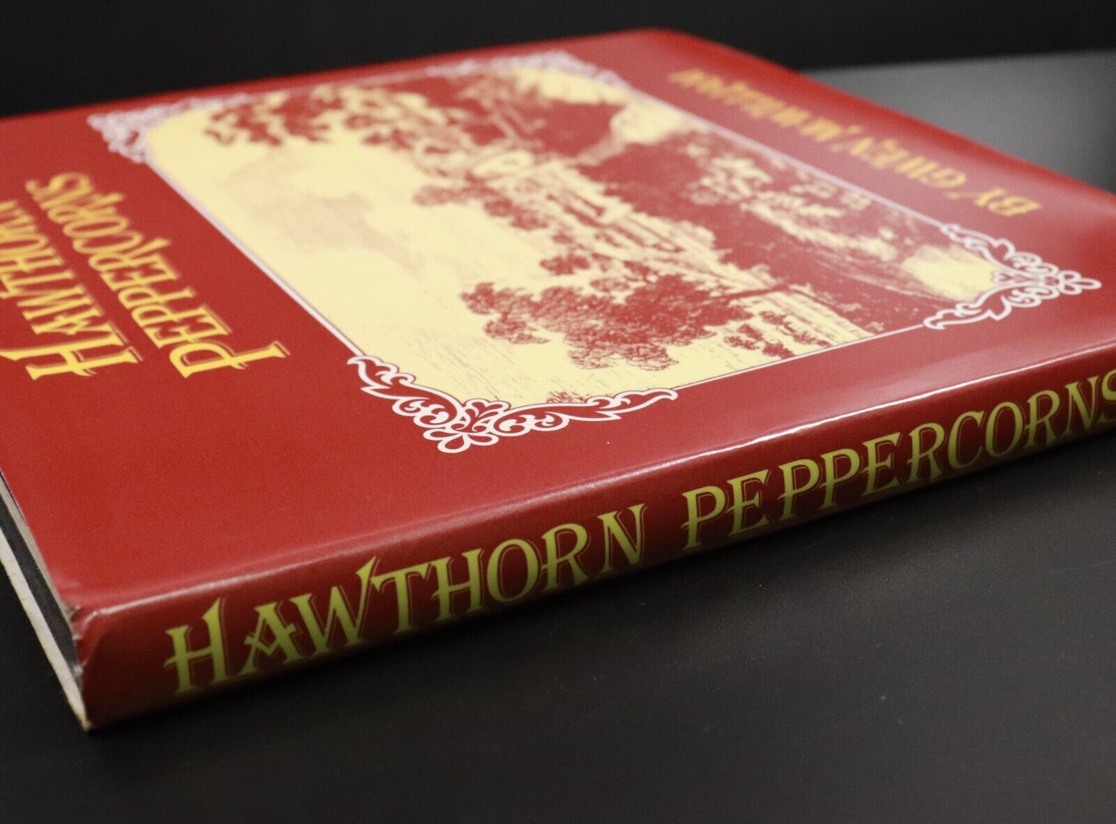 1978 Hawthorn Peppercorns G. McWilliam Melbourne Australia Local History Book