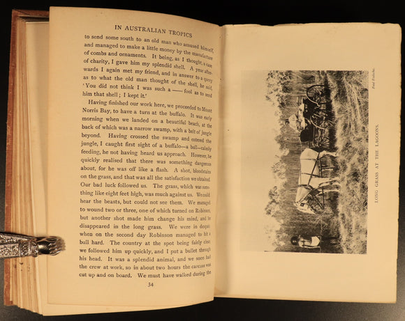 1909 In Australian Tropics by Alfred Searcy Antique Australian History Book