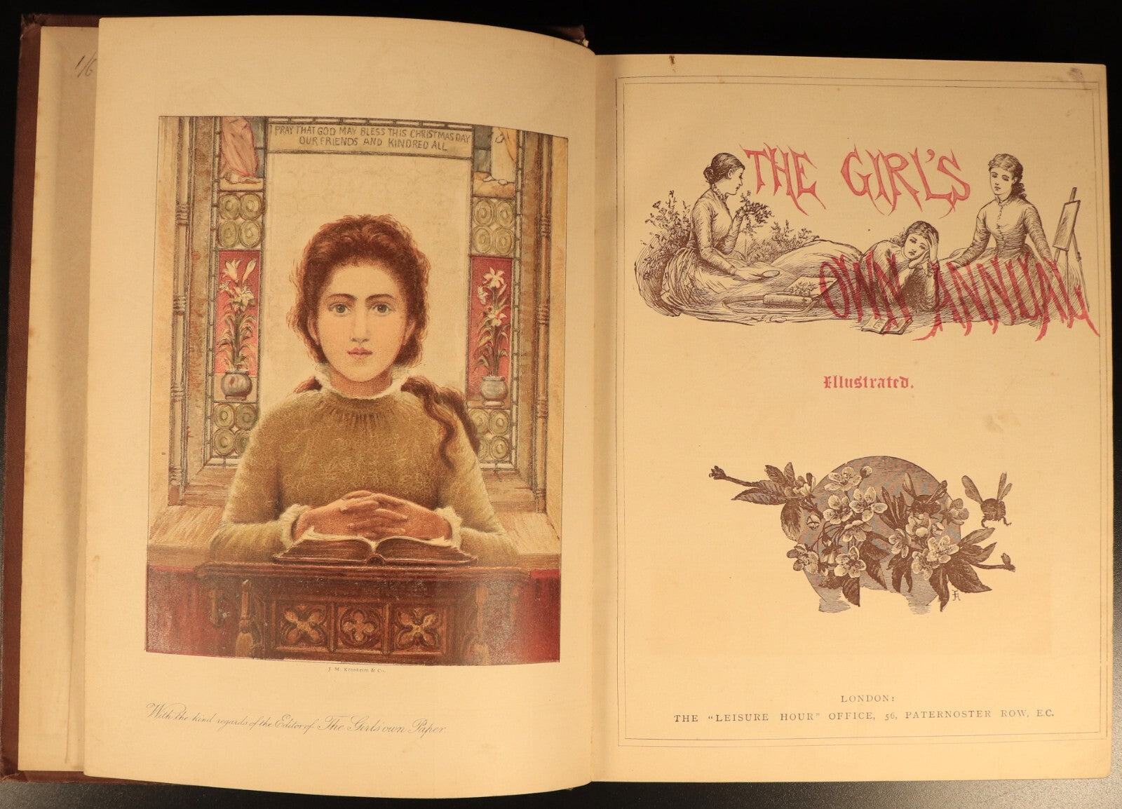The Girls Own Annual 1882 Antique British Illustrated Girls Book Volume 3
