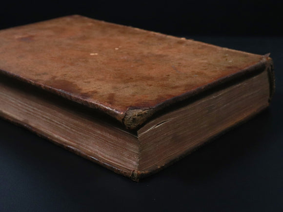 13c1264f-7071-4cd0-a260-fb6f869e94a3