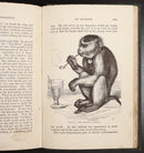 1883 Log-Book Of A Fisherman & Zoologist F Buckland Antique Natural History Book-10