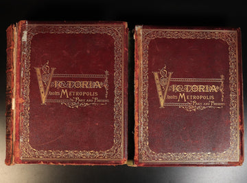 142bd359-4e4e-446b-926b-bbdefc5e2d35