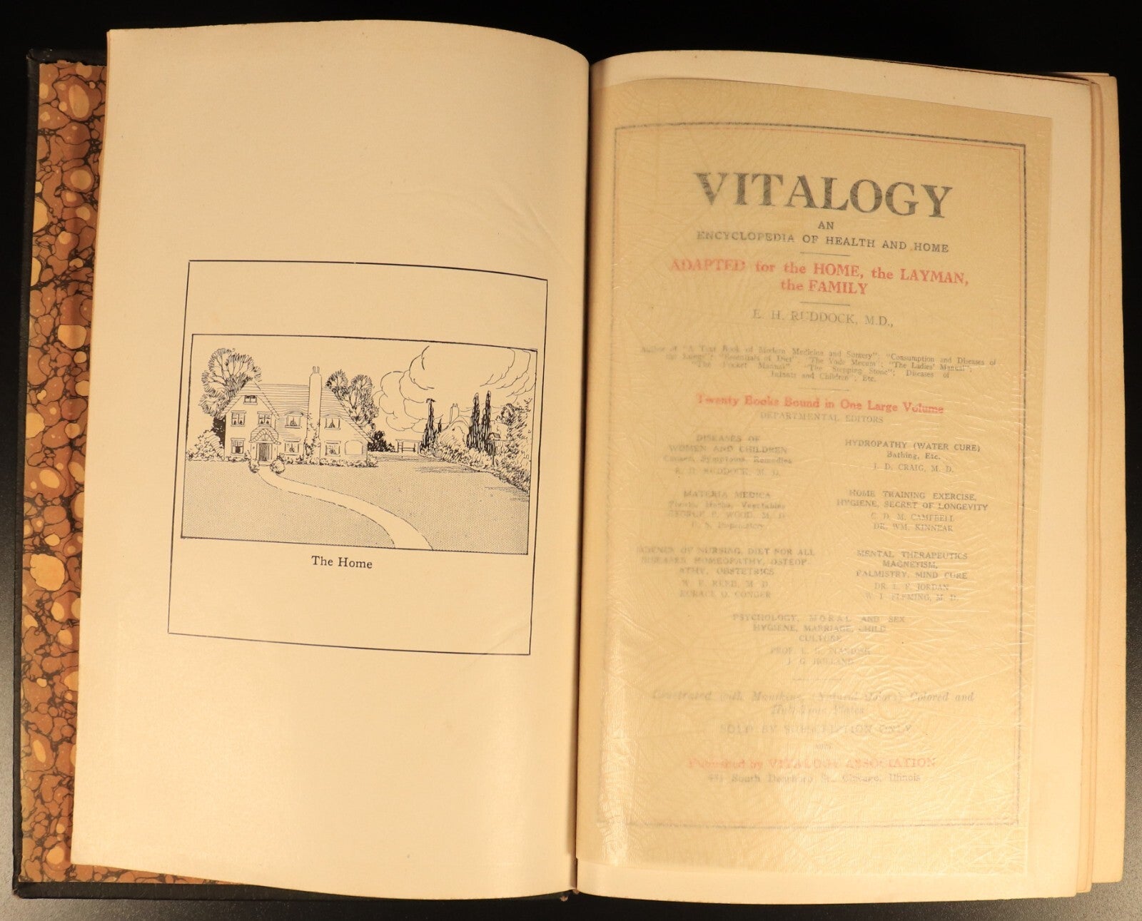 Vitalogy Encyclopedia Of Health & Home 1927 Antique Medical Reference Book