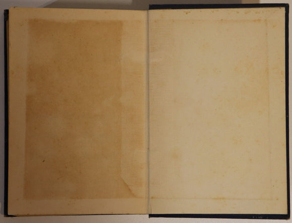 1901 The Warrigal's Well by D. MacDonald Antique Australian Fiction Book