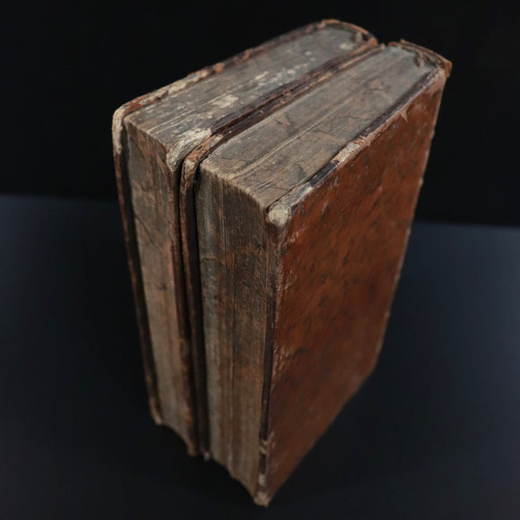 1545c25b-36b8-4203-b737-adfd2b9d99ca